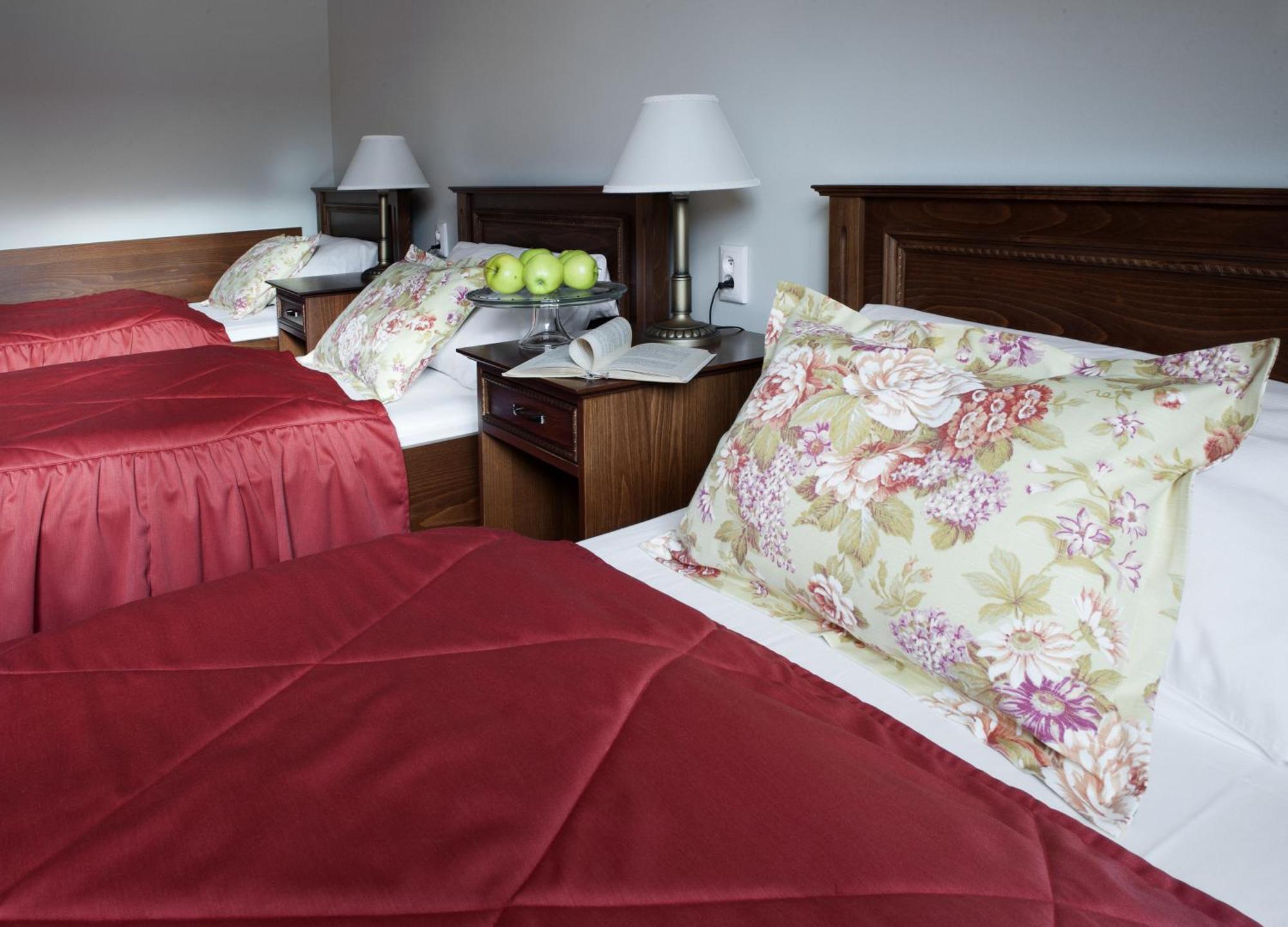 Velké Meziříčí Hotel Pod Zamkem חדר תמונה